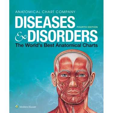 Diseases & Disorders: The World's Best Anatomical Charts