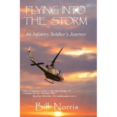 Flying Into The Storm