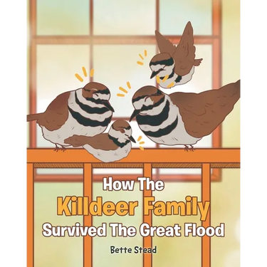 How The Killdeer Family Survived The Great Flood