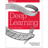 Deep Learning: A Practitioner's Approach