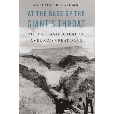 At the Base of the Giant's Throat: The Past and Future of America's Great Dams