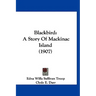 Blackbird: A Story Of Mackinac Island (1907)