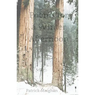 Poems for a Winter Afternoon