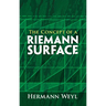 The Concept of a Riemann Surface