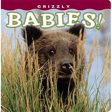 Grizzly Babies!