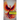 The Phoenix Protector