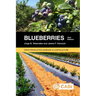 Blueberries