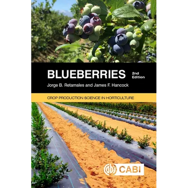 Blueberries