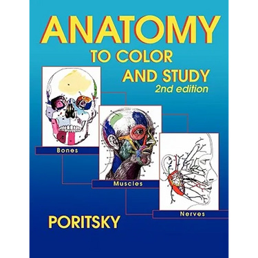 Anatomy to Color and Study 2nd Edition