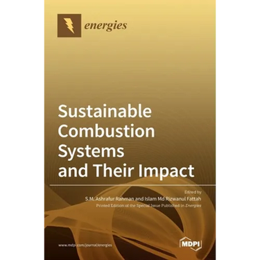 Sustainable Combustion Systems and Their Impact