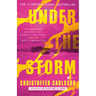 Under the Storm