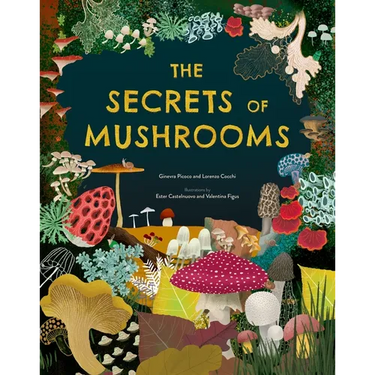 The Secrets of Mushrooms