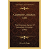 Caithreim Cellachain Caisi: The Victorious Career Of Cellachan Of Cashel (1905)