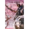 Springtime at Catoctin Creek