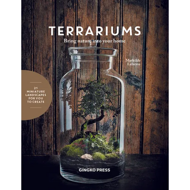 Terrariums: Bring Nature Into Your Home