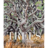Trees (Gift Edition): Between Earth and Heaven