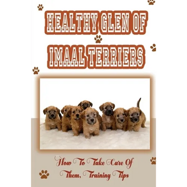 Healthy Glen of Imaal Terriers: How To Take Care Of Them, Training Tips: Treatment For Glen Of Imaal Terriers