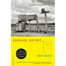 Burning Bright: Stories