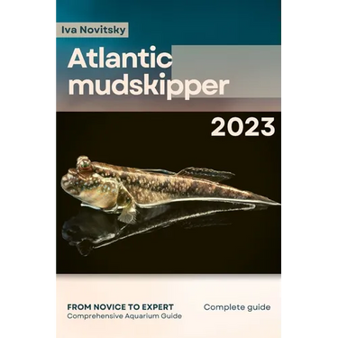 Atlantic mudskipper: From Novice to Expert. Comprehensive Aquarium Fish Guide