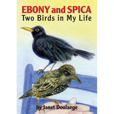 Ebony and Spica: Two Birds in My Life