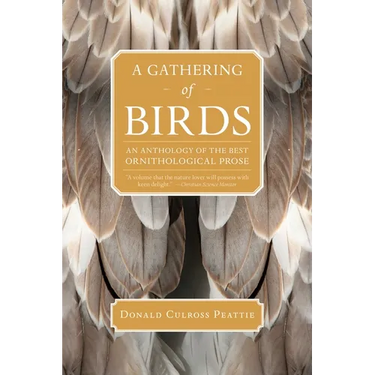 A Gathering of Birds: An Anthology of the Best Ornithological Prose