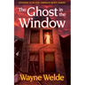 The Ghost in the Window: Episode 3 in the Orphan Boys Mysteries