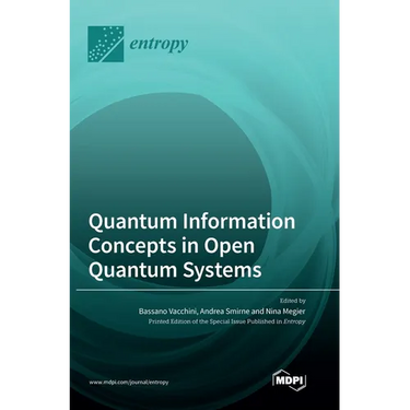 Quantum Information Concepts in Open Quantum Systems