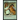 Choosing a Career in Animal Care
