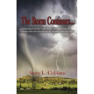 The Storm Continues...: Gleaning from the Calm, Storm, and Aftermath of a marriage when the forecast was for sunshine and clear skies!