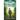 The Missing