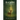 Bambi: A Life in the Woods