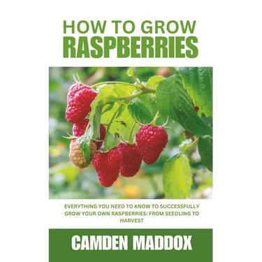 How To Grow Raspberries: Everything You Need to Know to Successfully Grow Your Own Raspberries: From Seedling to Harvest