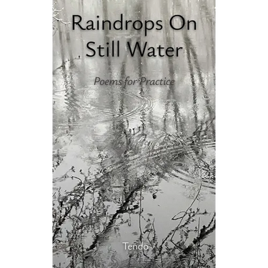 Raindrops on Still Water: Poems for Practice