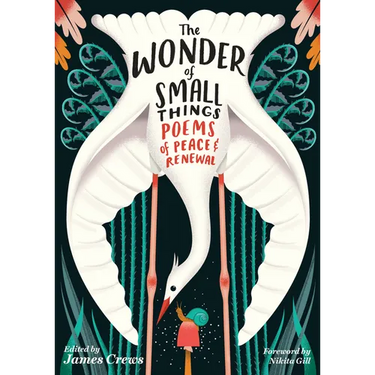 The Wonder of Small Things: Poems of Peace and Renewal