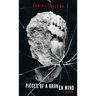 Pieces of a Broken Mind
