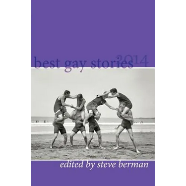 Best Gay Stories 2014