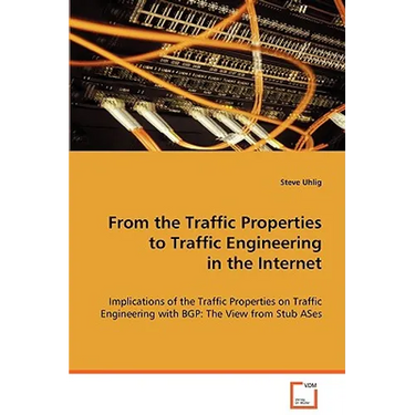 From the Traffic Properties to Traffic Engineering in the Internet
