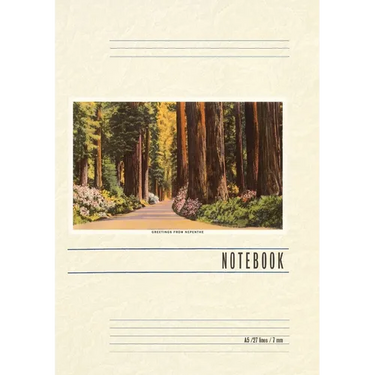 Vintage Lined Notebook Greetings from Nepenthe