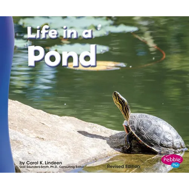 Life in a Pond