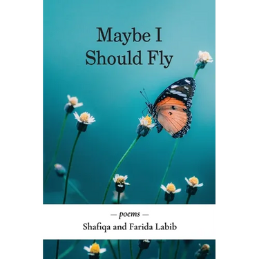 Maybe I Should Fly