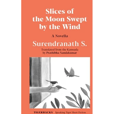 Slices of the Moon Swept by the Wind