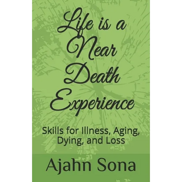 Life is a Near Death Experience: Skills for Illness, Aging, Dying, and Loss