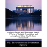 Ambient Levels and Noncancer Health Effects of Inhaled Crystalline and Amorphous Silica: Health Issue Assessment
