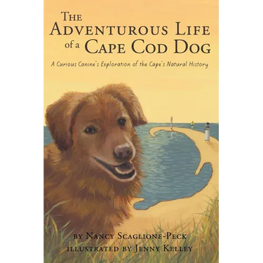 The Adventurous Life of a Cape Cod Dog: A Curious Canine's Exploration of the Cape's Natural History