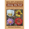 Wildflowers Along the Trail: Grand Canyon National Park
