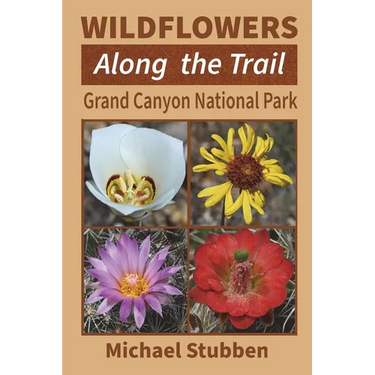 Wildflowers Along the Trail: Grand Canyon National Park