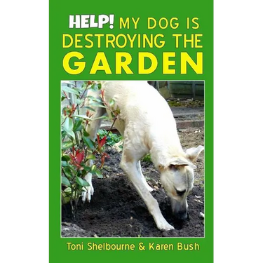 Help! My Dog is Destroying the Garden