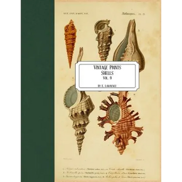 Vintage Prints: Shells: Vol. 9