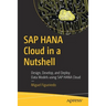 SAP Hana Cloud in a Nutshell: Design, Develop, and Deploy Data Models Using SAP Hana Cloud