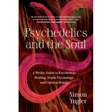 Psychedelics and the Soul: A Mythic Guide to Psychedelic Healing, Depth Psychology, and Cultural Repair